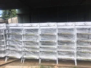 Sơn Tĩnh Điện Quang Lộc – Công Ty TNHH Quang Lộc