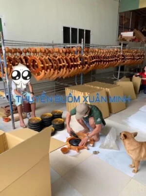 Thuyền Buồm Xuân Minh – Cơ sở kinh doanh và phân phối