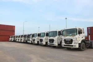 Công Ty Cổ Phần Nhật Việt