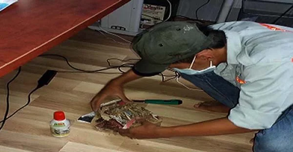 Công Ty TNHH Dịch Vụ Thương Mại Trần Đăng