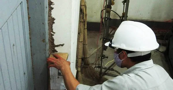 Công Ty TNHH Dịch Vụ Thương Mại Trần Đăng