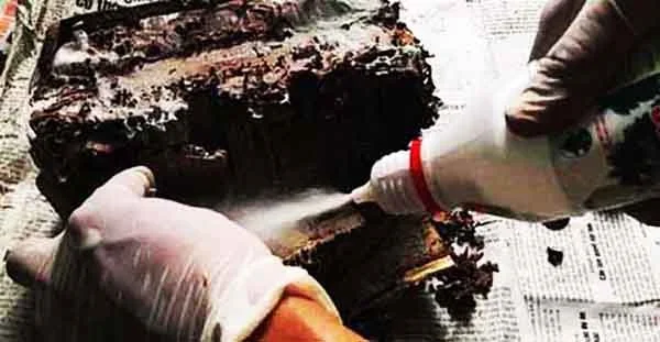 Công Ty TNHH Dịch Vụ Thương Mại Trần Đăng