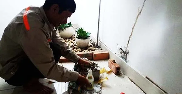 Công Ty TNHH Dịch Vụ Thương Mại Trần Đăng