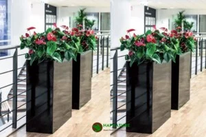 HapNature – Hạnh Phúc Cùng Thiên Nhiên