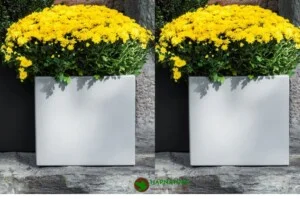 HapNature – Hạnh Phúc Cùng Thiên Nhiên