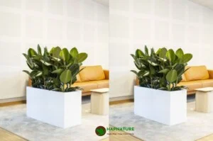 HapNature – Hạnh Phúc Cùng Thiên Nhiên