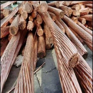 Công Ty TNHH Tổng Hợp Bảo Lam