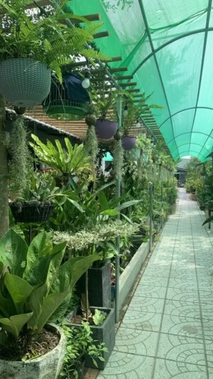 Lê Anh Garden