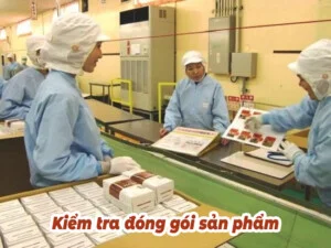 Công Ty Cổ Phần Thương Mại Phát Triển Kỹ Thuật Và Nhân Lực Quốc Tế