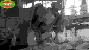 Công Ty TNHH Độ Nam Tiến