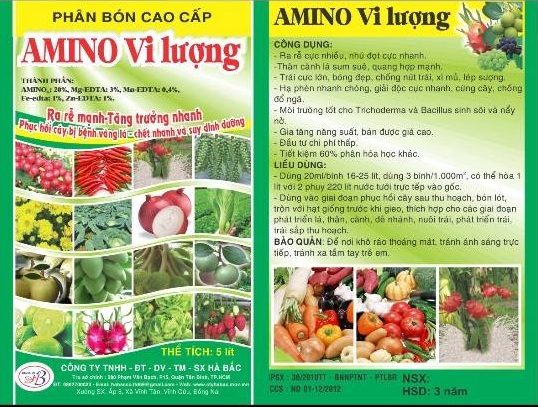 Công Ty TNHH Đầu Tư Dịch Vụ Thương Mại Xây Dựng Hà Bắc