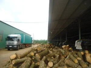 Viên Nén Gỗ Minh Nhật Minh – Công Ty CP Đầu Tư Minh Nhật Minh