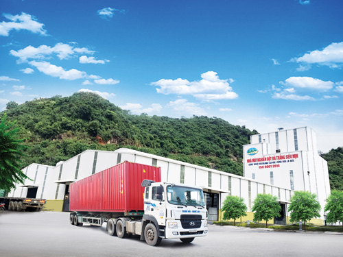 THNA Group – Công Ty Cổ Phần Trung Hải Nghệ An Group