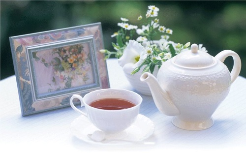 Công Ty TNHH GTB Hòa Sơn