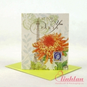 Bao Bì Linh Lan – Công Ty TNHH Sản Xuất Thương Mại Linh Lan