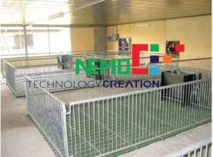 Công Ty TNHH Công Nghệ Và Sáng Tạo Nemo Việt Nam