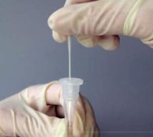 Bộ Kit Xét Nghiệm FUJIREBIO – Công Ty TNHH Nhựt Rạng