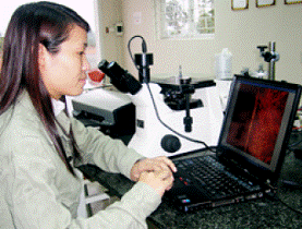 Công Ty Cổ Phần Felix Việt Nam