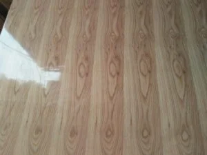 Đại Lý Cấp I Gỗ Ghép – Ván ép – MDF Thủy Tiến Phát