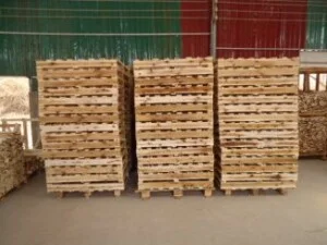 Pallet Dương Bảo Anh – Công Ty TNHH Dương Bảo Anh