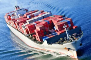 Logistics Trí Việt – Công Ty TNHH Thương Mại Dịch Vụ Xuất Nhập Khẩu Trí Việt
