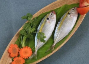 Công Ty TNHH Một Thành Viên Hùng Phúc