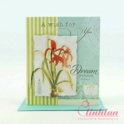 Bao Bì Linh Lan – Công Ty TNHH Sản Xuất Thương Mại Linh Lan