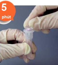 Bộ Kit Xét Nghiệm FUJIREBIO – Công Ty TNHH Nhựt Rạng