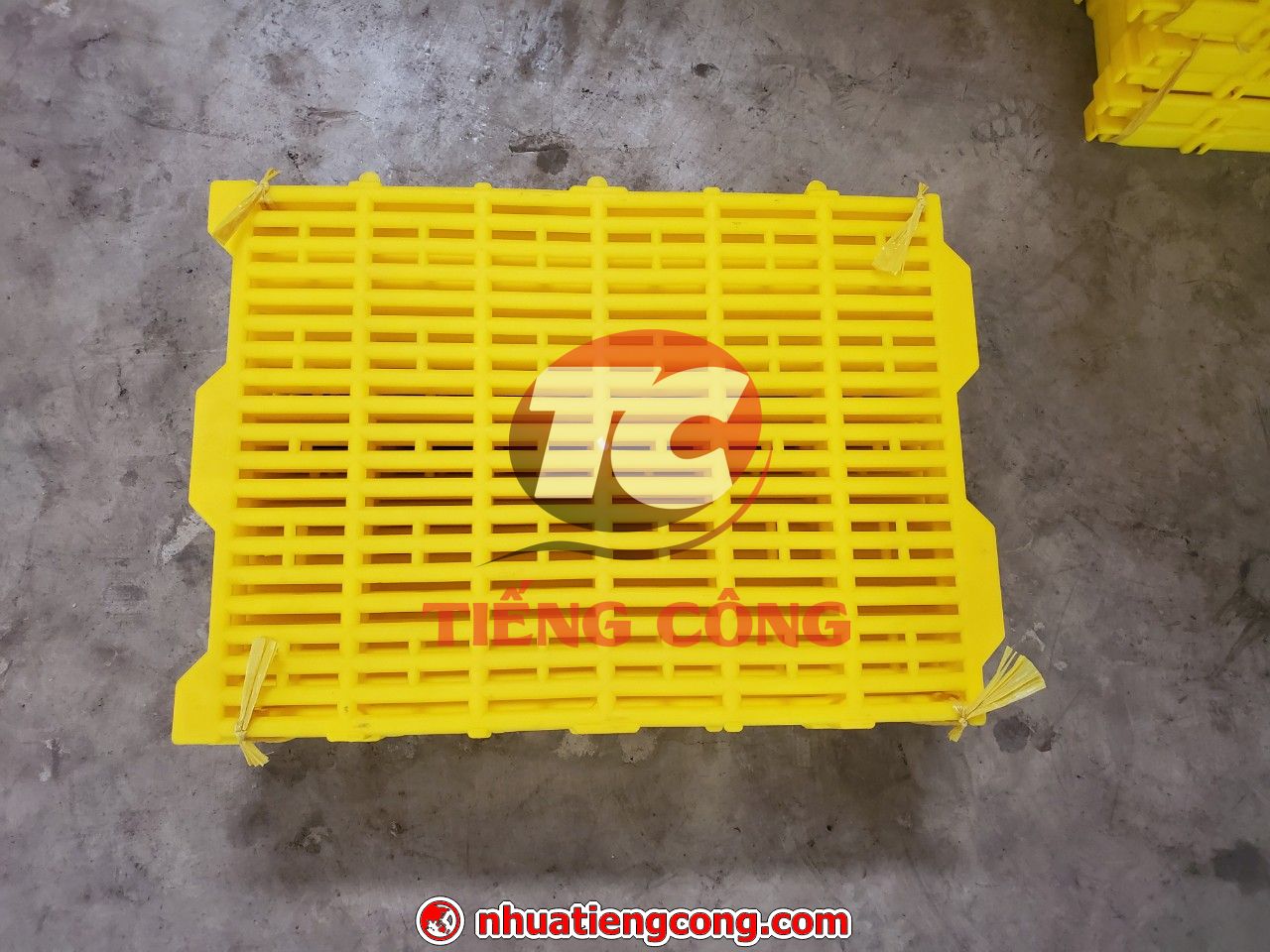 Công Ty TNHH TM Và DV Tiếng Công