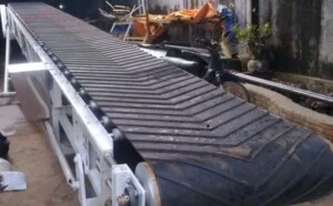 Công Ty TNHH Hoàng Phương Ngọc