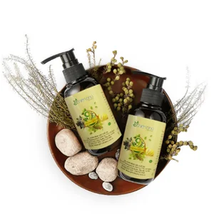 Nội Thất Xuans Home