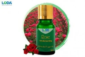 Công Ty TNHH LODA Việt Nam