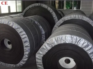 Công Ty TNHH Hoàng Phương Ngọc