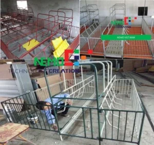 Công Ty TNHH Công Nghệ Và Sáng Tạo Nemo Việt Nam