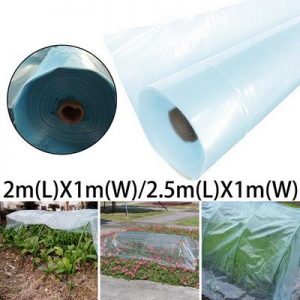 Công Ty CP Xuất Nhập Khẩu Và Dịch Vụ Thanh Long Việt Nam
