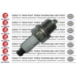 Công Ty TNHH Phát Triển Thương Mại Việt Phát