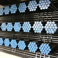 Công Ty TNHH Thương Mại Dịch Vụ Xuất Nhập Khẩu Bùi Gia Phát
