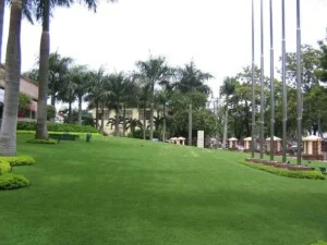 Công Ty Cổ Phần Cảnh Quan Xanh