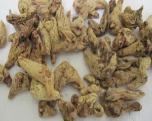 Dược Liệu Thiên Ân Dược – Công Ty TNHH Thiên Ân Dược