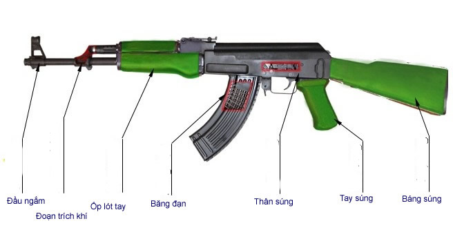 Công Ty TNHH Ngày Chủ Nhật