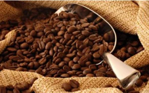 Máy Rang Cà Phê Rio – Công Ty TNHH Máy Rang Cà Phê RIO