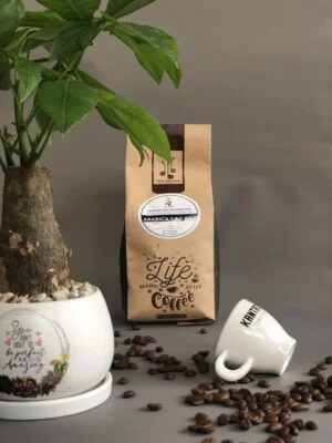 Công Ty Cổ Phần Cafe Kantata