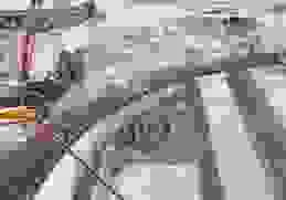 Công Ty Cổ Phần Sản Xuất – Thương Mại Sài Gòn