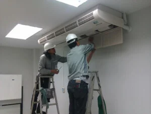 Công Ty TNHH Thương Mại – Dịch Vụ Châu Hiệp Phát