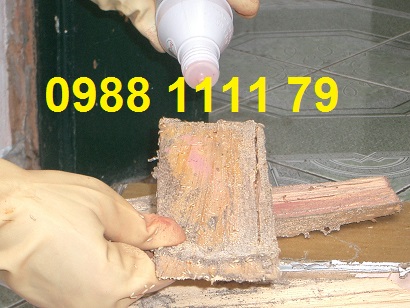 Công Ty Cổ Phần Phát Triển Trường Phát