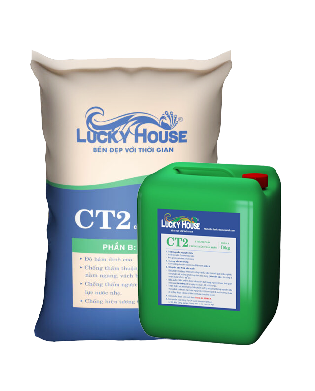 Vật Liệu Hoàn Thiện Bề Mặt Cho Công Trình Lucky House – Công Ty Cổ Phần Đầu Tư  Và Phát Triển Lucky House