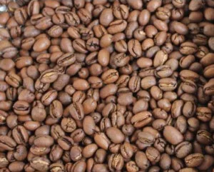 Máy Rang Cà Phê Rio – Công Ty TNHH Máy Rang Cà Phê RIO