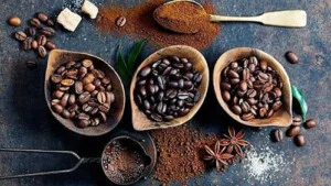 Hạt Điều Nông Trại Lata – Công Ty TNHH Nông Trại Lata