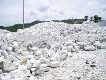 Công Ty Cổ Phần Xây Dựng Xuất Nhập Khẩu Tuệ Lâm