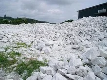Công Ty Cổ Phần Xây Dựng Xuất Nhập Khẩu Tuệ Lâm